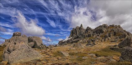 Kosciuszko NP - NSW T (PBH4 00 10728)